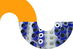 VIAPATH_WAY_8.jpg
